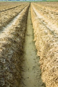 Ditch of rainwater collection in a plowed field